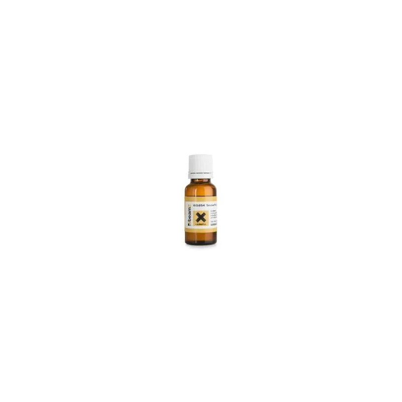 alchemist-2190783