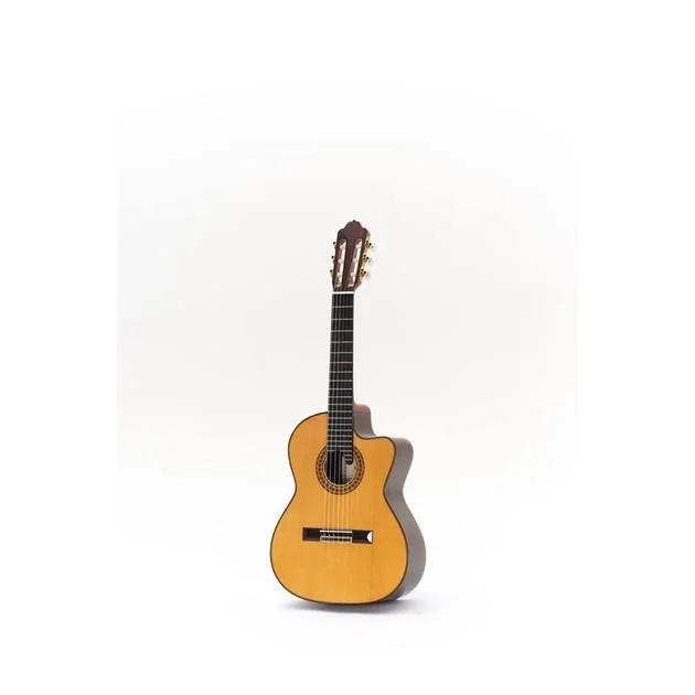 algameko-2259844