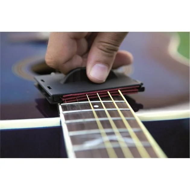 algameko-2309919