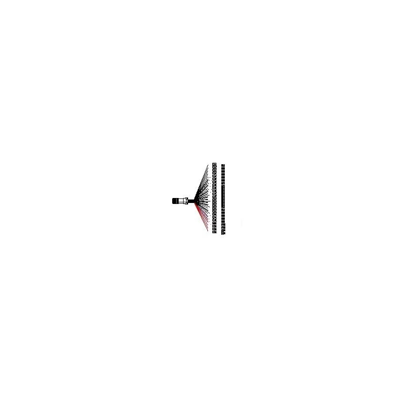 bananamusic-2309460