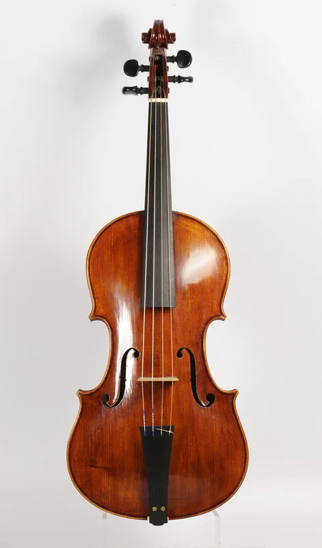 corilon-2163311