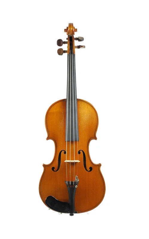 corilon-2163872