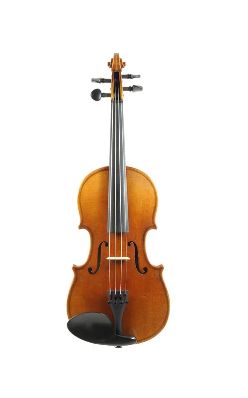 corilon-2163883