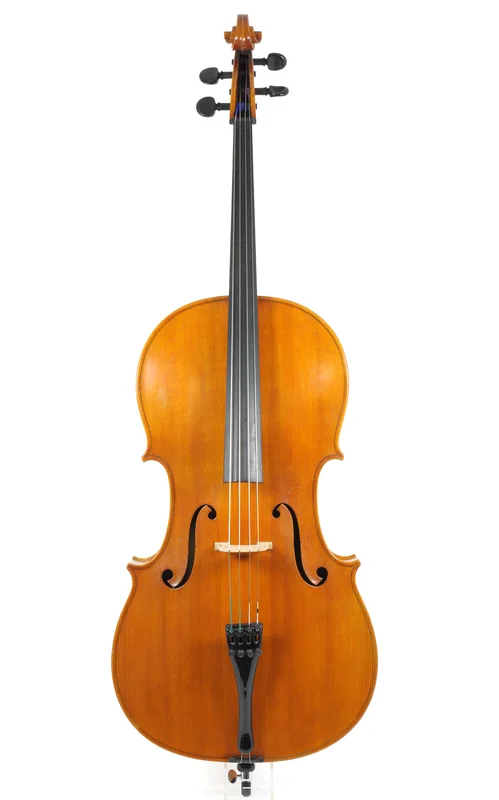 corilon-2163957