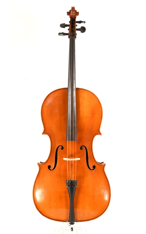 corilon-2164141