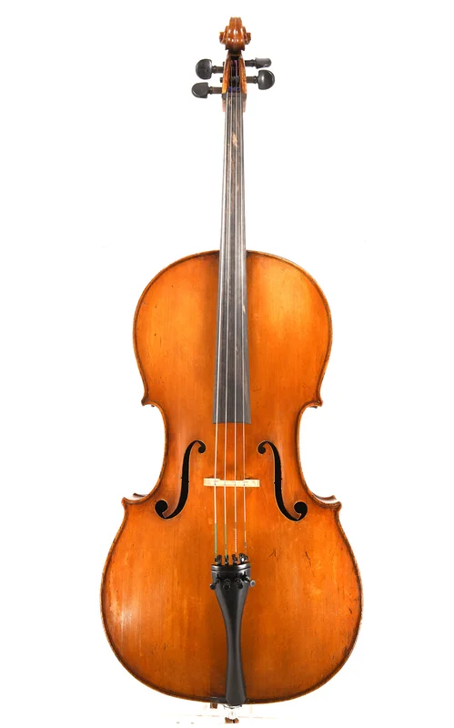 corilon-2165025