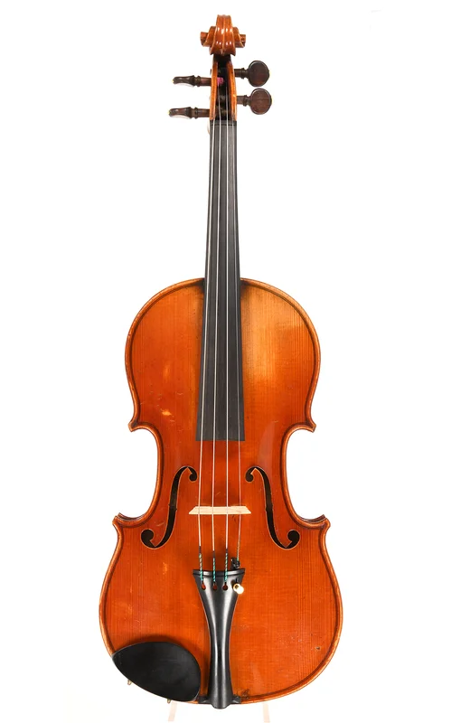 corilon-2165149