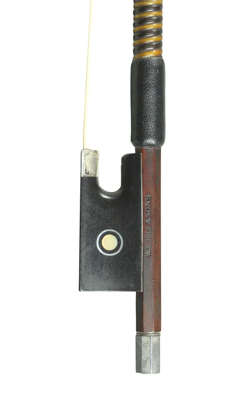 corilon-2165409