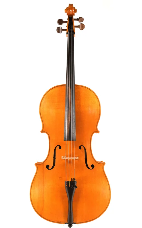 corilon-2165811