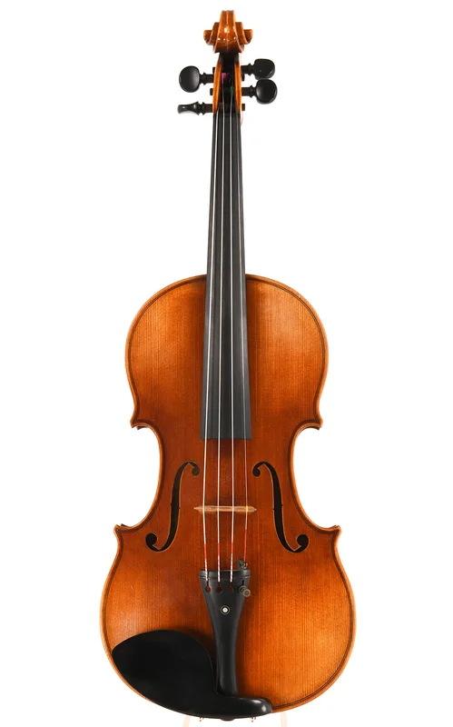 corilon-2165962