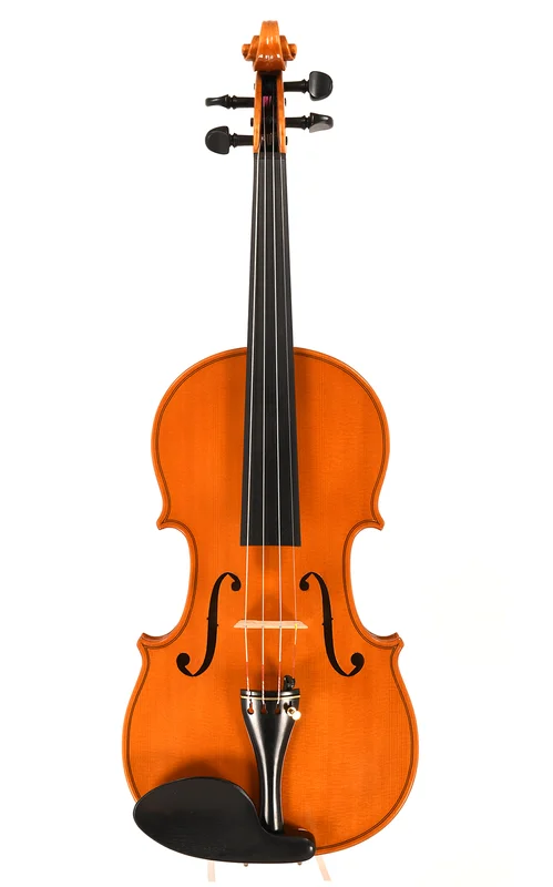 corilon-2165992