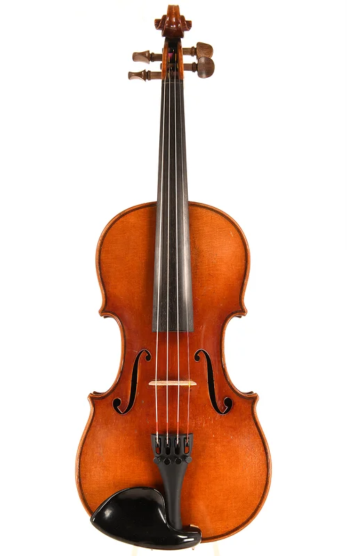 corilon-2166069