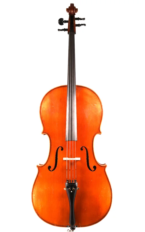 corilon-2166173