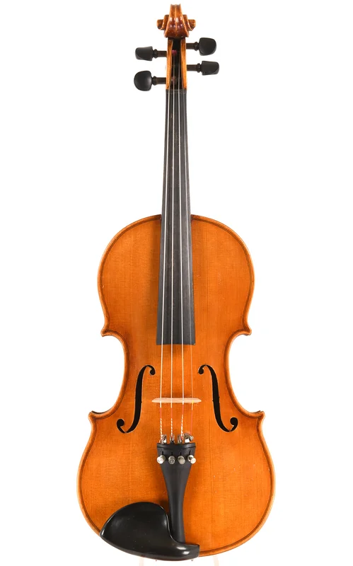 corilon-2166444