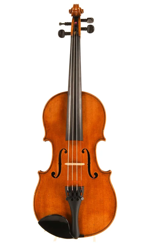 corilon-2166721