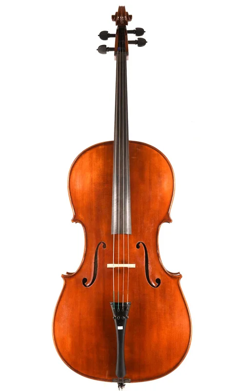 corilon-2166844