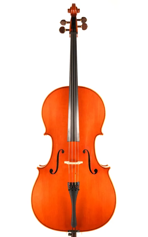 corilon-2166853