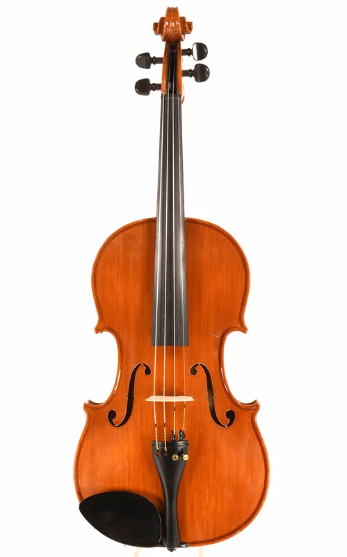 corilon-2167059