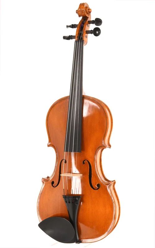 corilon-2167147