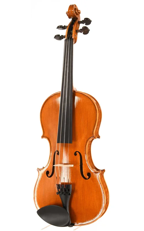corilon-2167403