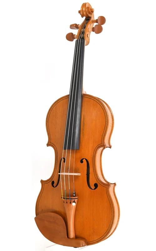 corilon-2167577