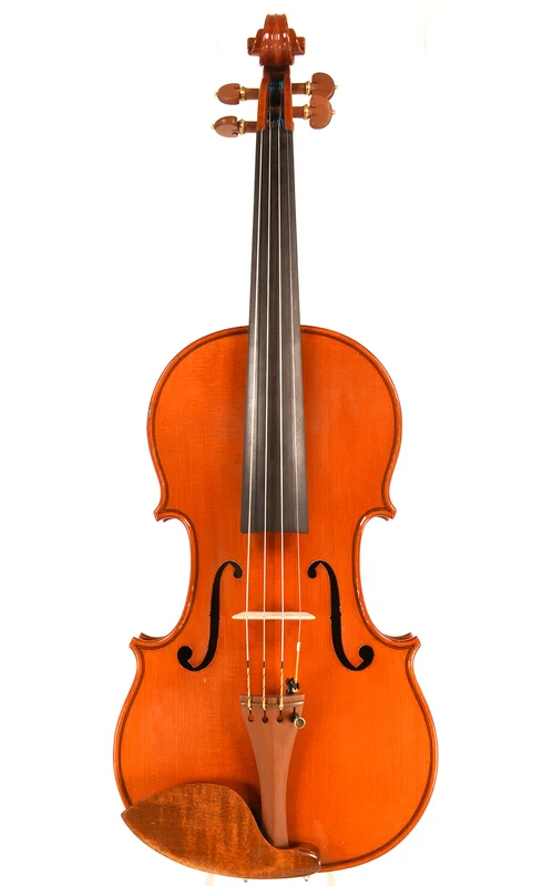 corilon-2167590
