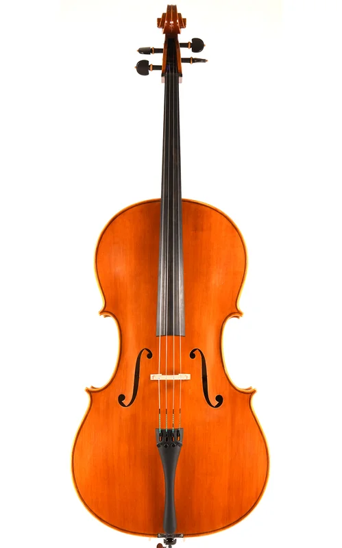 corilon-2167631