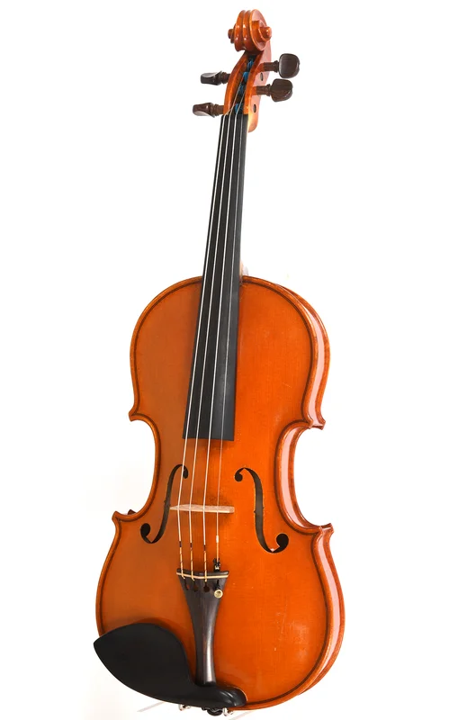 corilon-2167632