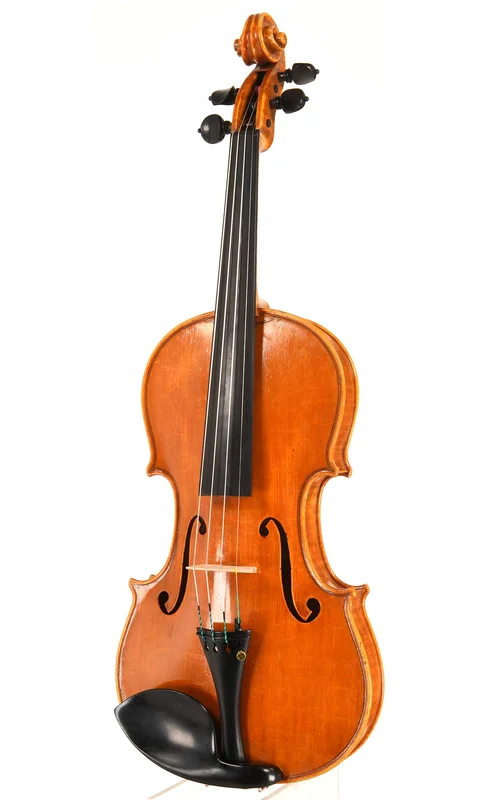 corilon-2167736