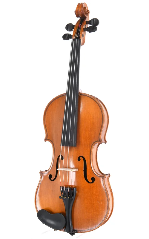 corilon-2167813
