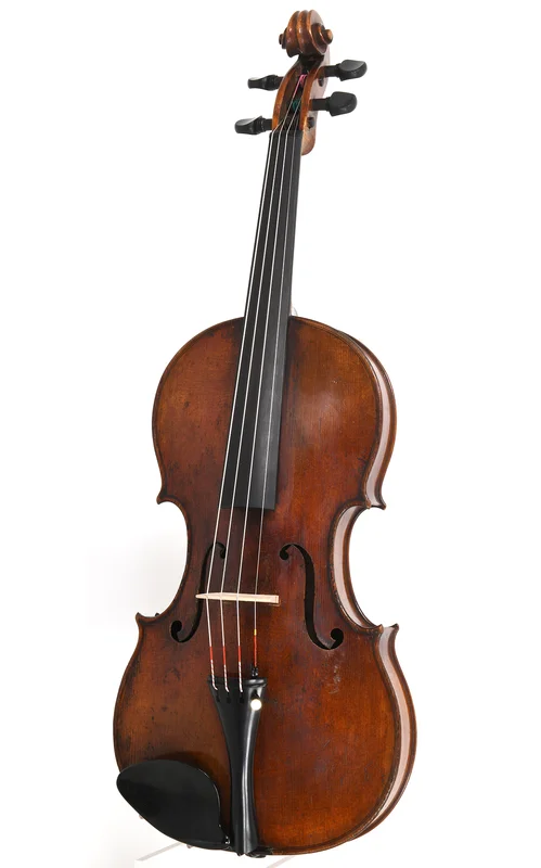 corilon-2167824