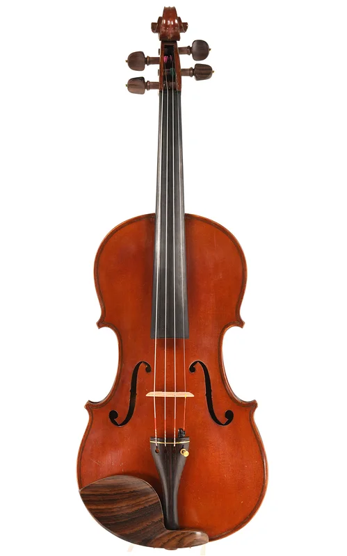corilon-2167827