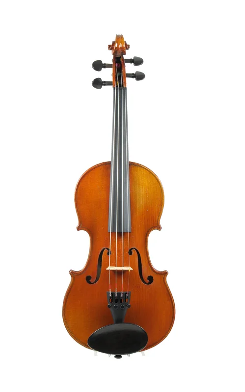 corilon-2167921