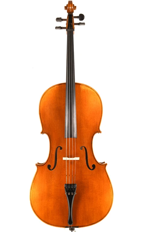 corilon-2167944