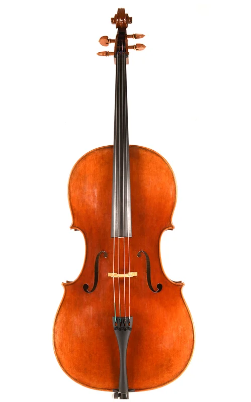 corilon-2167951