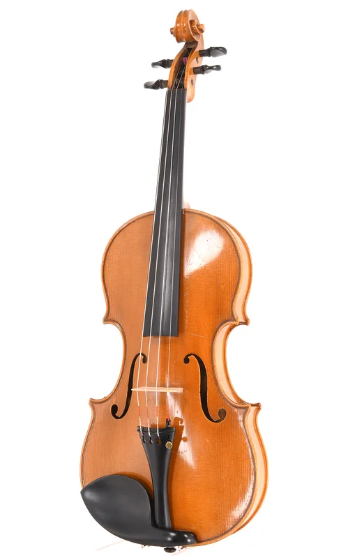 corilon-2167992