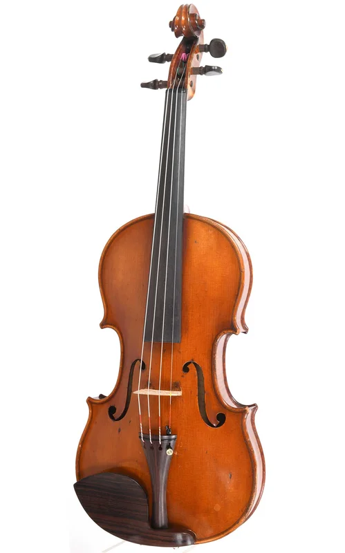 corilon-2168117