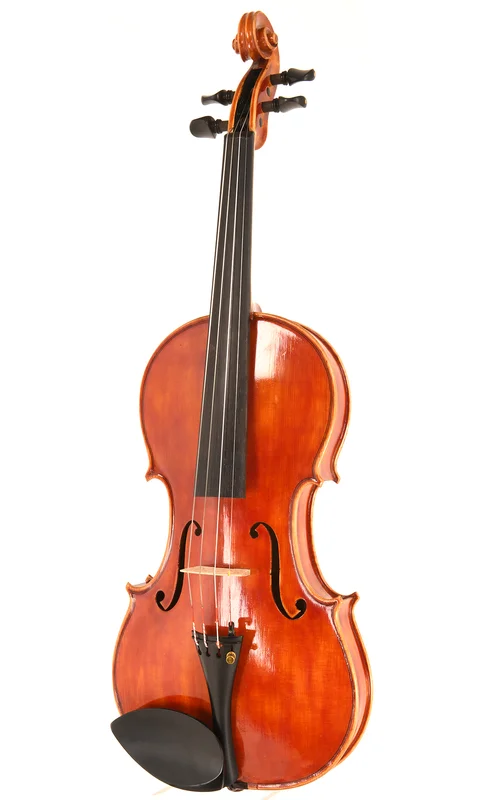 corilon-2170451