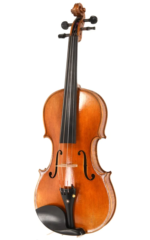 corilon-2170699