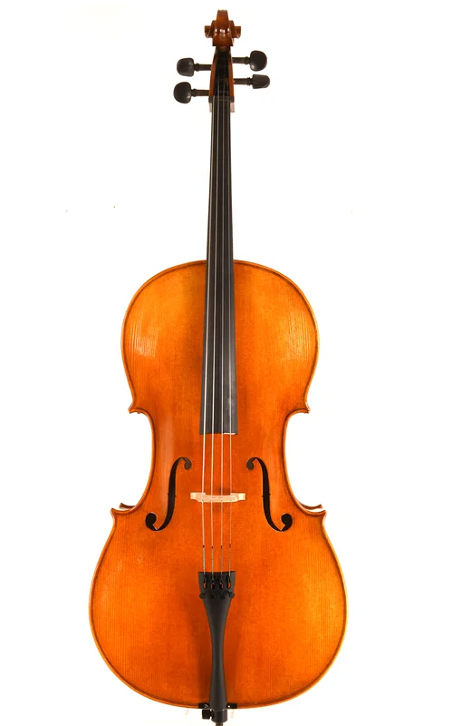 corilon-2170883