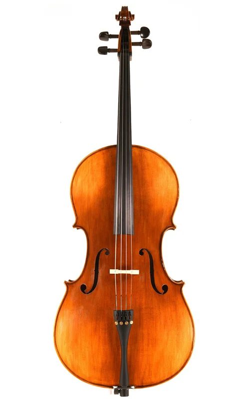 corilon-2171044