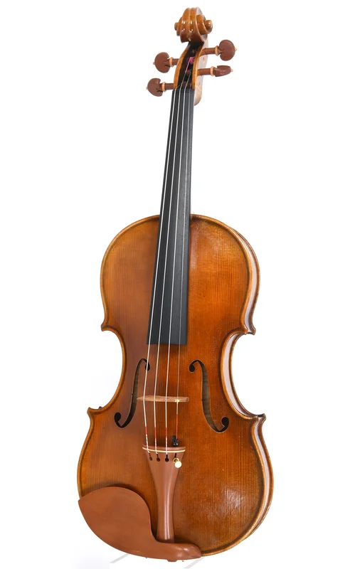 corilon-2171332