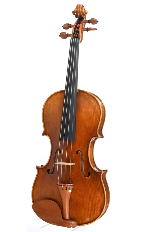 corilon-2171335