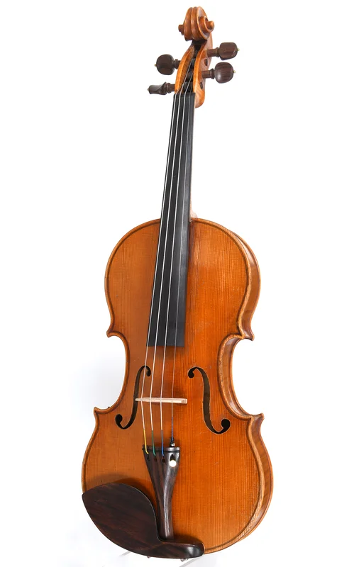corilon-2171385