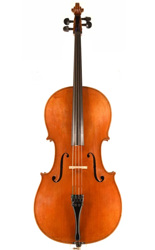 corilon-2171597