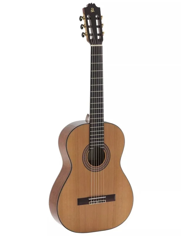danysmusicshop2201908