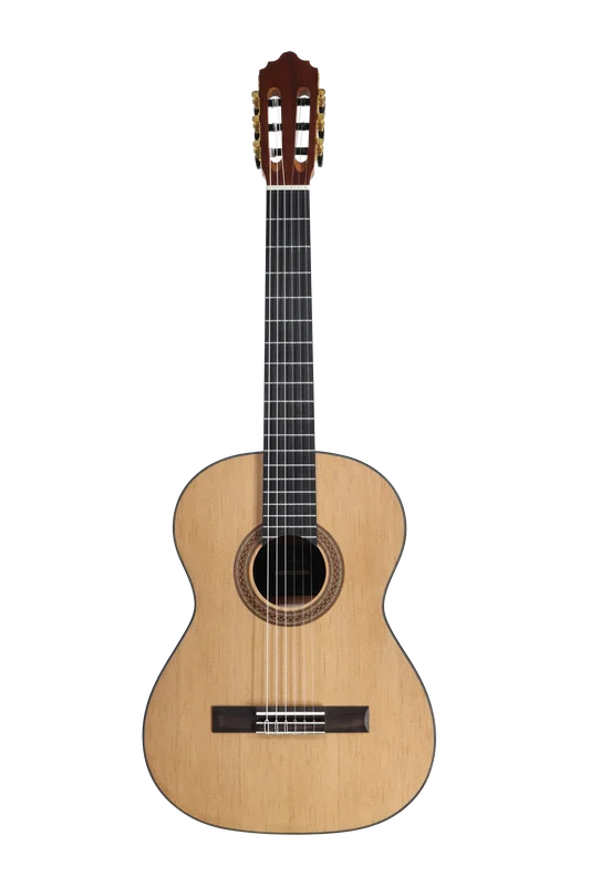 danysmusicshop2202264
