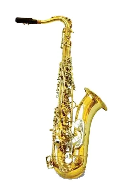 ilcappellaiomattomusica-2179064