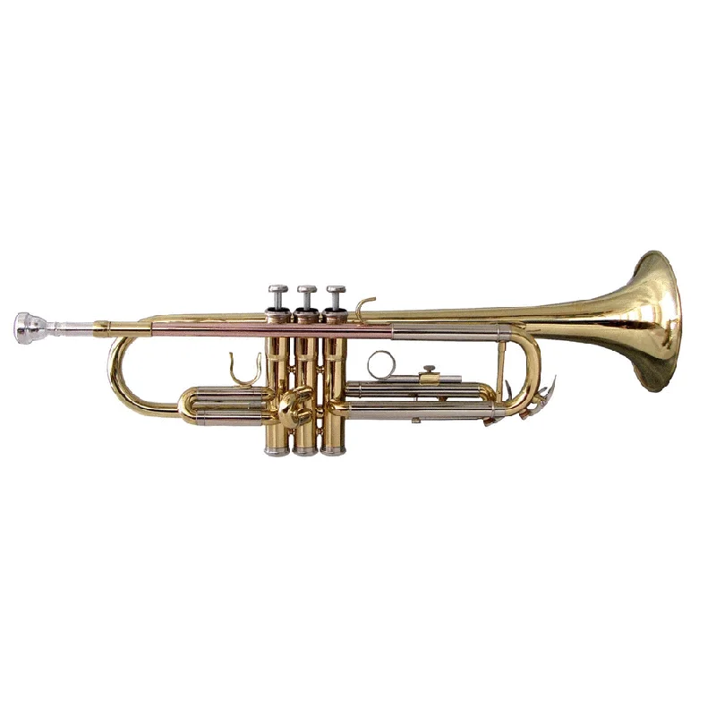 ilcappellaiomattomusica-2194822