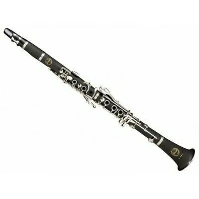 ippomusic2208891